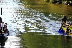 waiblinger_drachenbootcup_10_20170709_1722095712