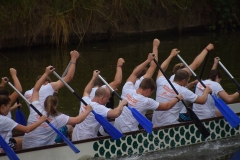 waiblinger_drachenbootcup_2017_14_20170710_1619877970