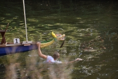 waiblinger_drachenbootcup_2017_31_20170710_1785240686