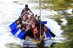 waiblinger_drachenbootcup_36_20170709_1214111311