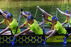 waiblinger_drachenbootcup_8_20170709_1696986270