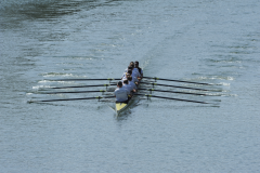 cannstatter_kanne_3_20181121_1457589064