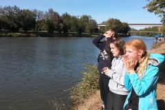 herbstregatten_3_20181120_1926305905