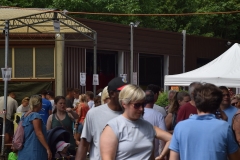 drachenbootcup_2019_1_144_20190706_1440373166