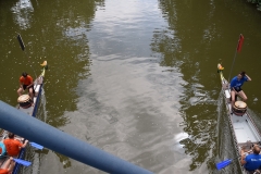 drachenbootcup_2019_1_152_20190706_1670982922