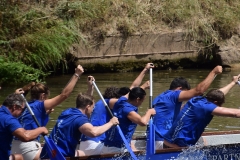 drachenbootcup_2019_1_174_20190706_1952581841
