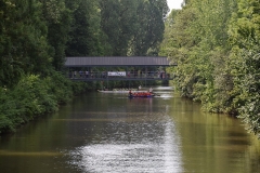 drachenbootcup_2019_1_192_20190706_1254779257