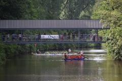 drachenbootcup_2019_1_193_20190706_1494552114