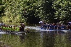 drachenbootcup_2019_1_240_20190706_1666284480
