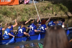 drachenbootcup_2019_1_249_20190706_1665887540