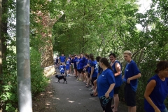 drachenbootcup_2019_1_273_20190706_1896434085