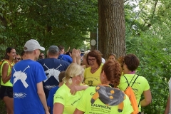 drachenbootcup_2019_1_283_20190706_1052500622