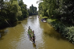 drachenbootcup_2019_1_32_20190706_1194451076