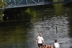 drachenbootcup_2019_1_371_20190706_1757149022