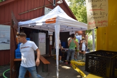 drachenbootcup_2019_1_66_20190706_1861324236
