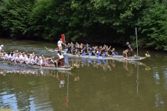 drachenbootcup_2019_1_95_20190706_1662340652